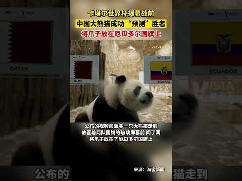 爱游戏体育,资讯,体育赛事,爱游戏体育,体育赛事,体育资讯,在线直播,热门体育,足球直播,篮球比赛,体育新闻,赛事分析,体育社区,运动健身