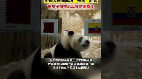 爱游戏体育 资讯 144012 8p2